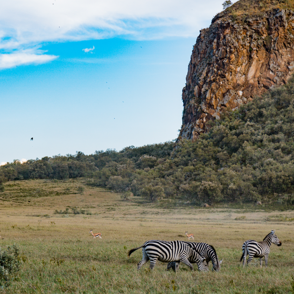 Kenya